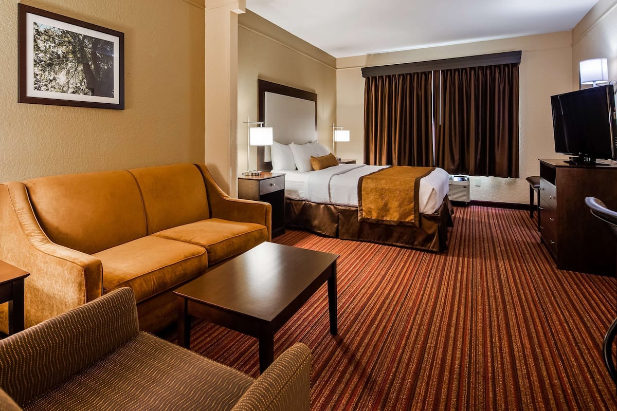 A hotel room with a sofa, a bed, a desk, a chair, a TV, and a picture on the wall.