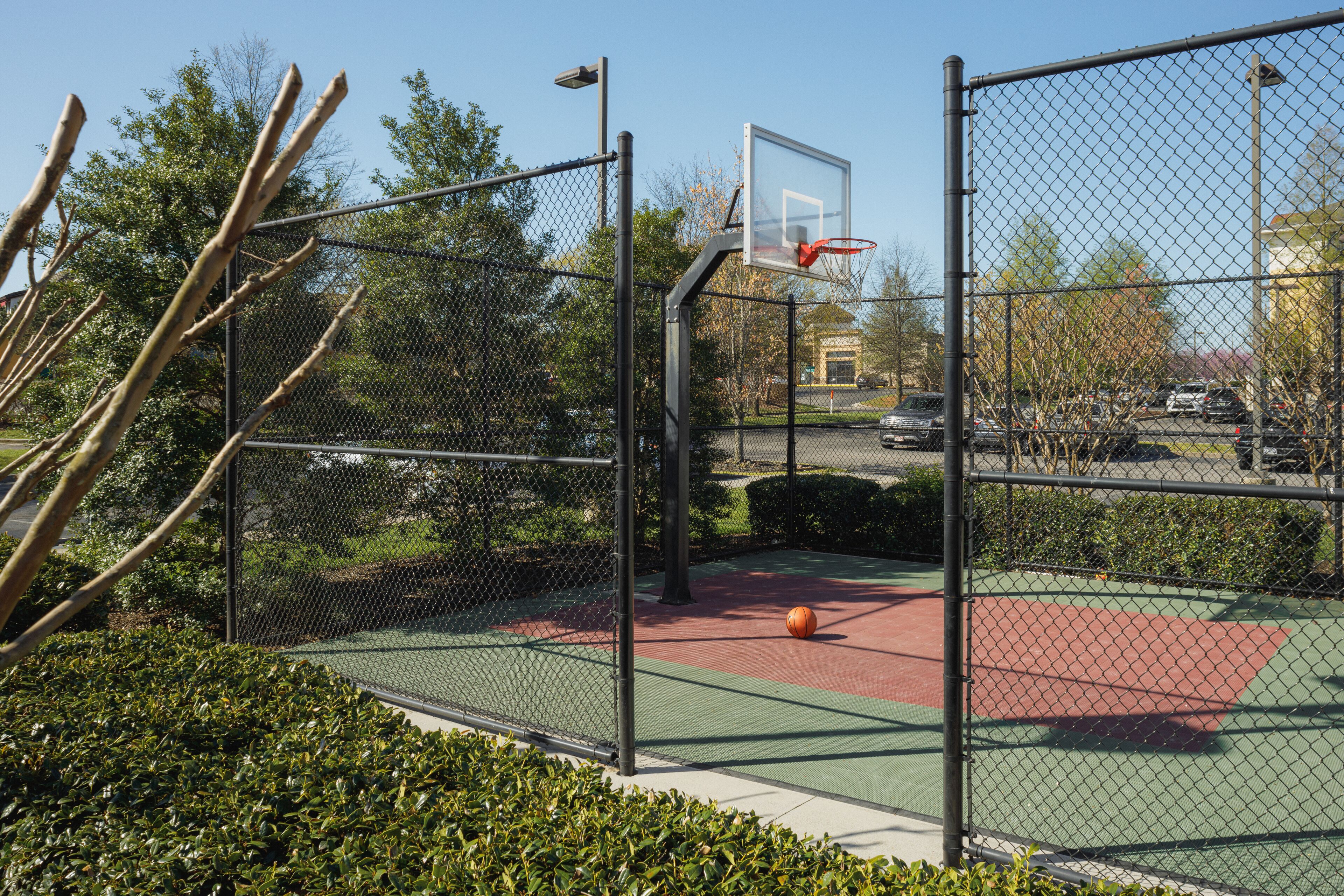 basketball court