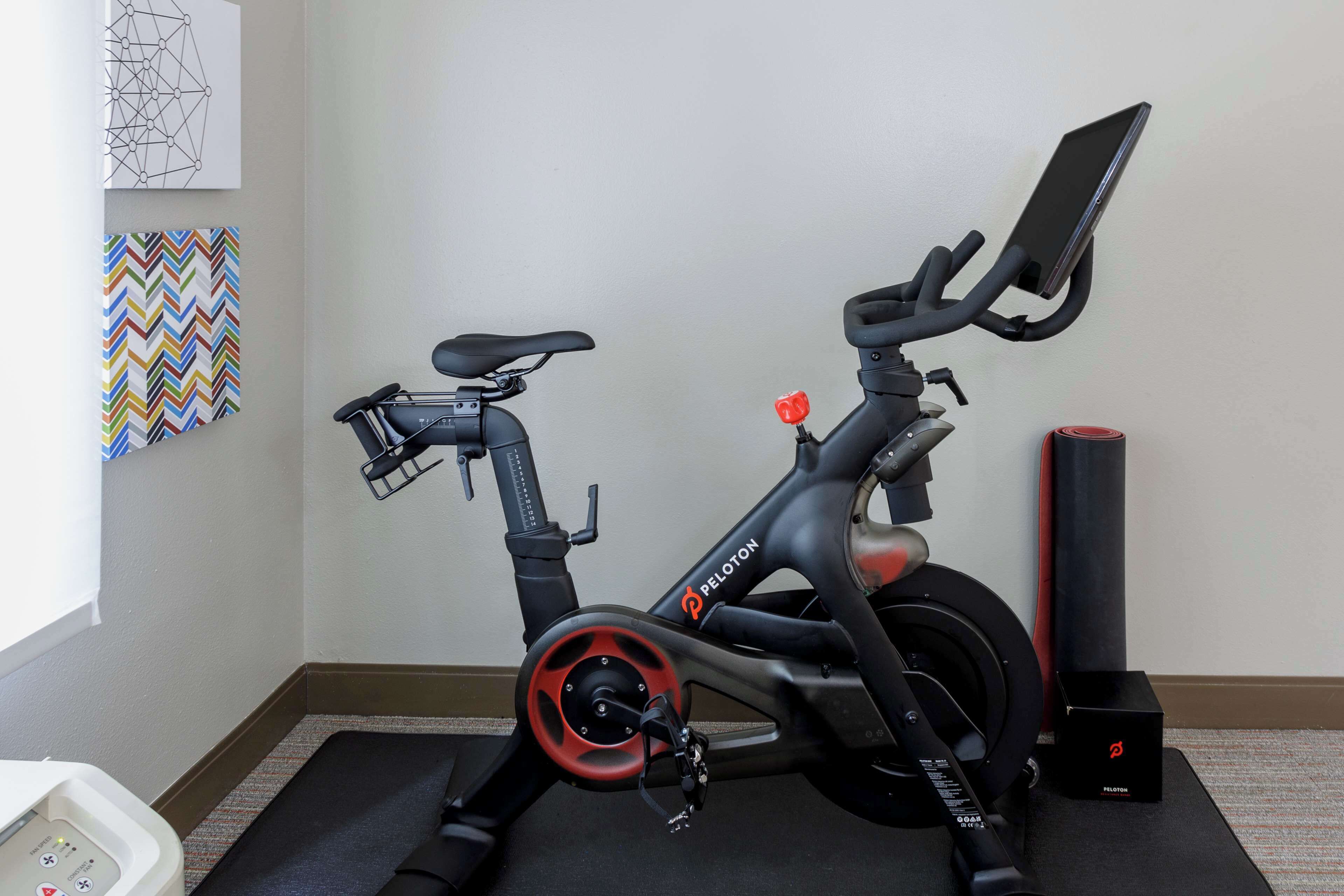 A Peloton exercise bike in a room with a plain wall, a colorful artwork, and a small speaker.
