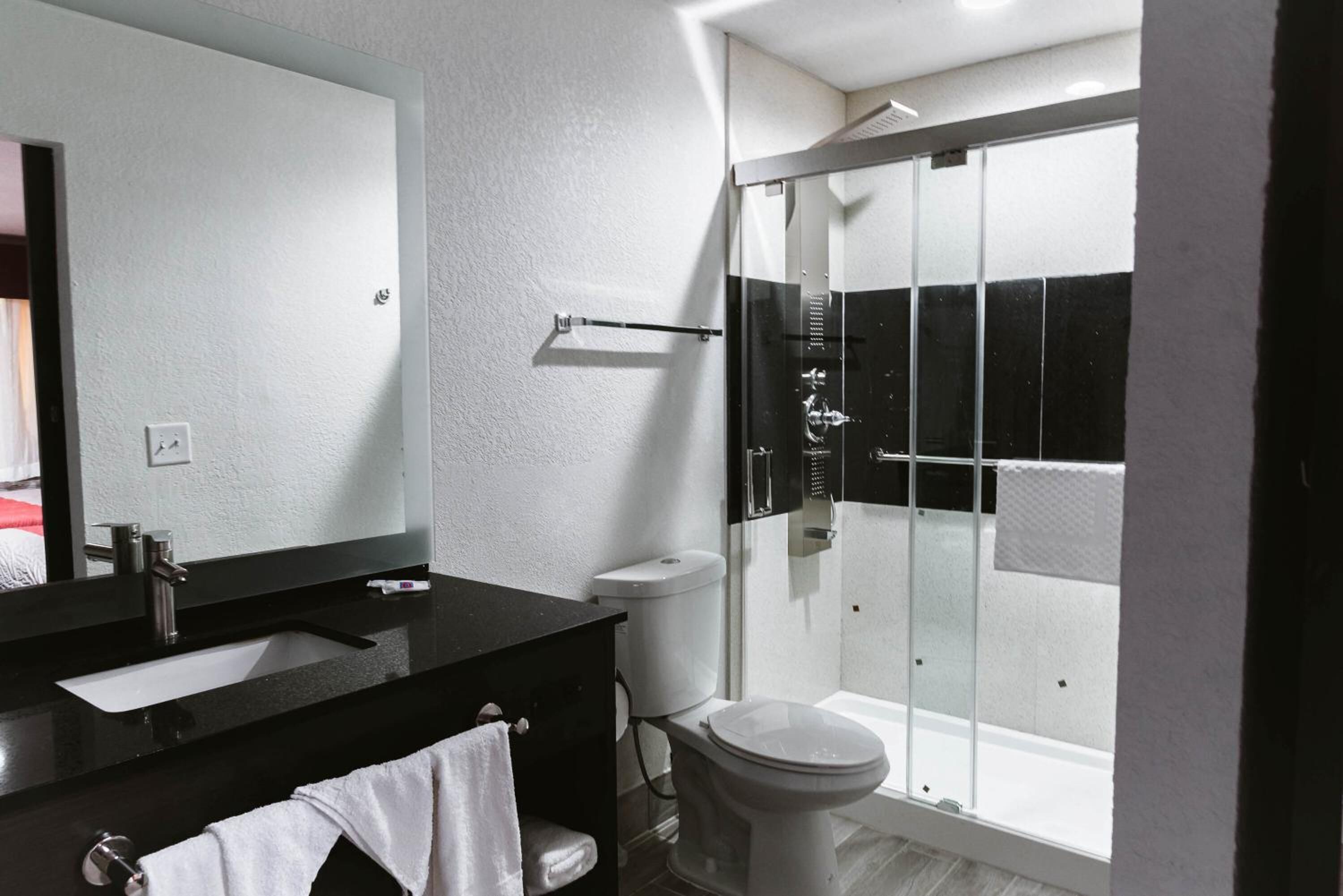 A modern bathroom with a black sink, white toilet, and a glass-enclosed shower.