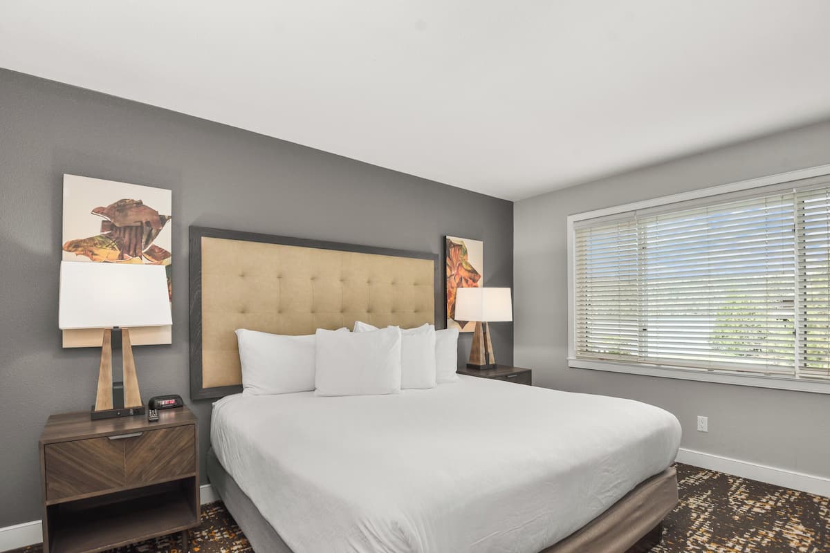 A hotel room with a large bed, two bedside tables, a headboard, and a window with blinds.
