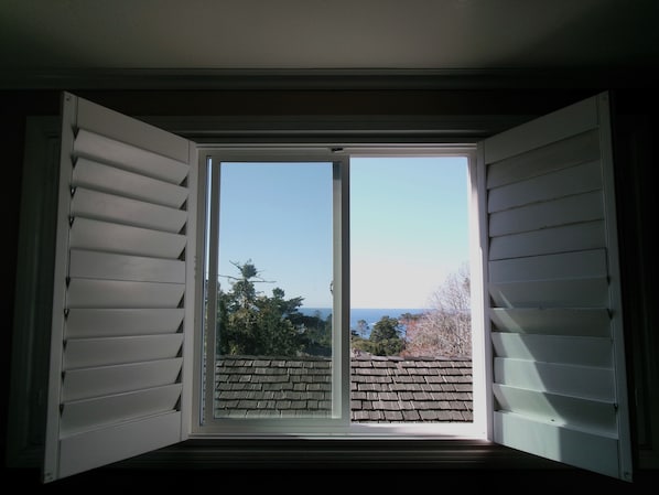 A window with white shutters, offering a view of a brick roof and trees.