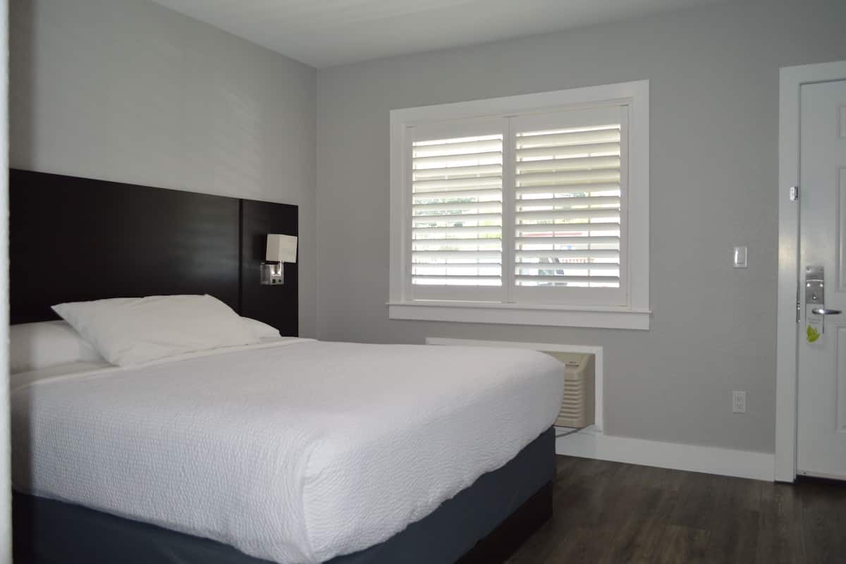 Room, 1 King Bed, Non Smoking | Desk, laptop workspace, iron/ironing board, free WiFi
