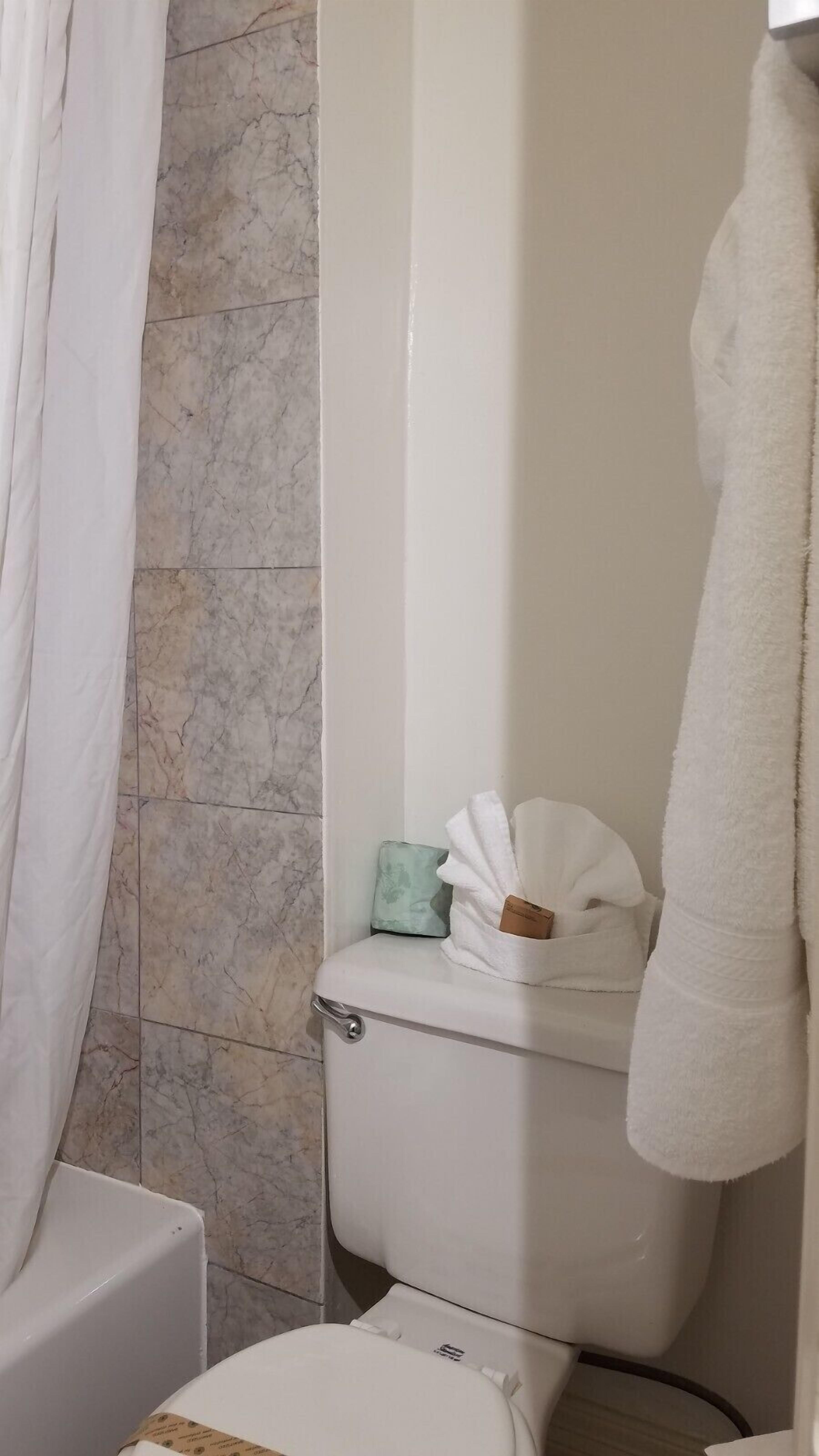 room, 1 king bed | bathroom | combined shower/bathtub, free toiletries, hair dryer, towels