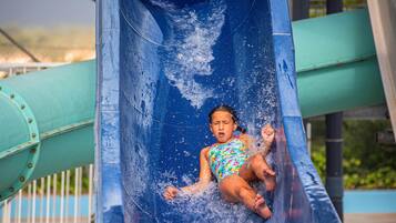 Surfing/boogie boarding