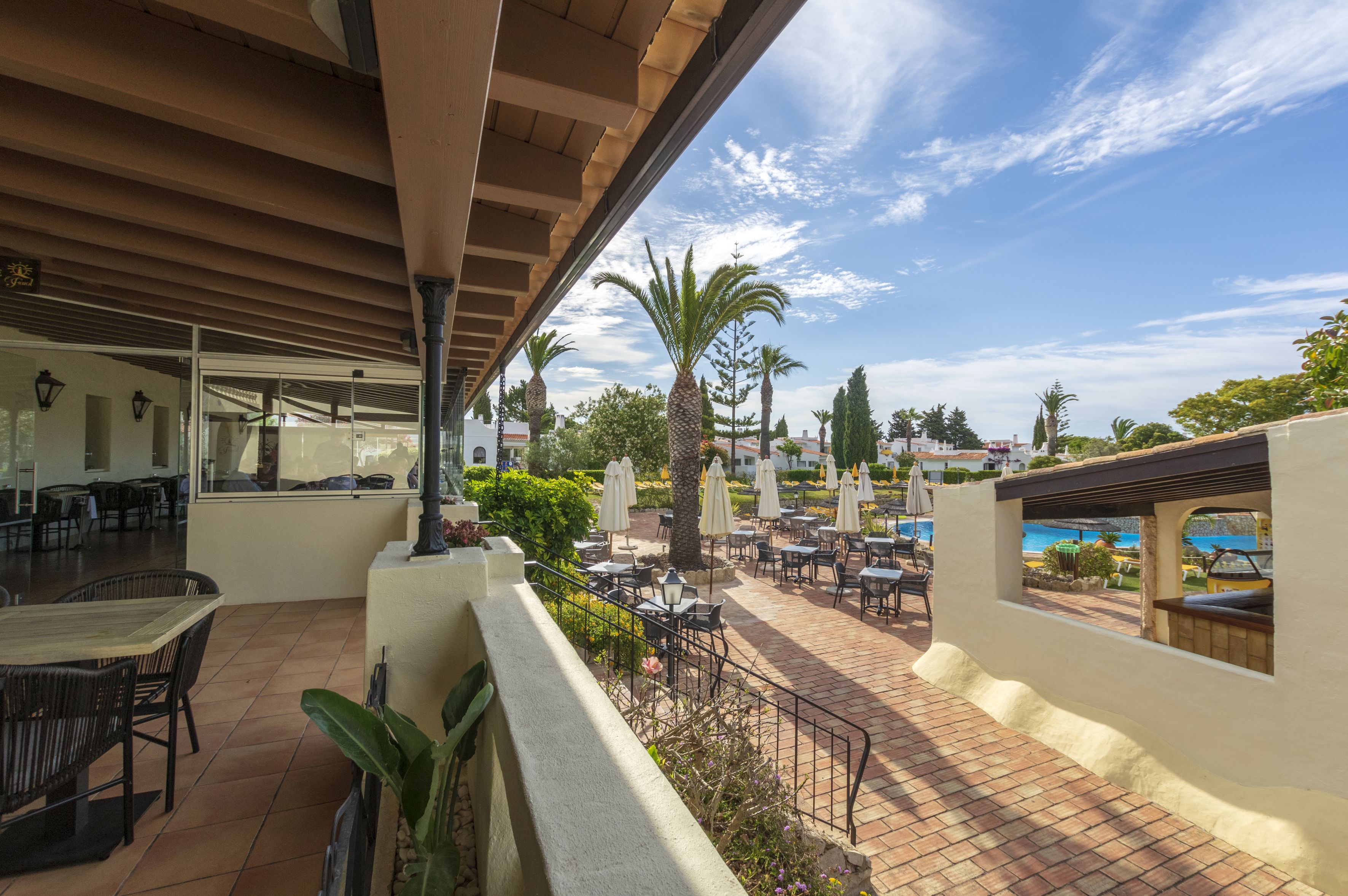 An outdoor patio with tables and chairs, palm trees, and umbrellas.
