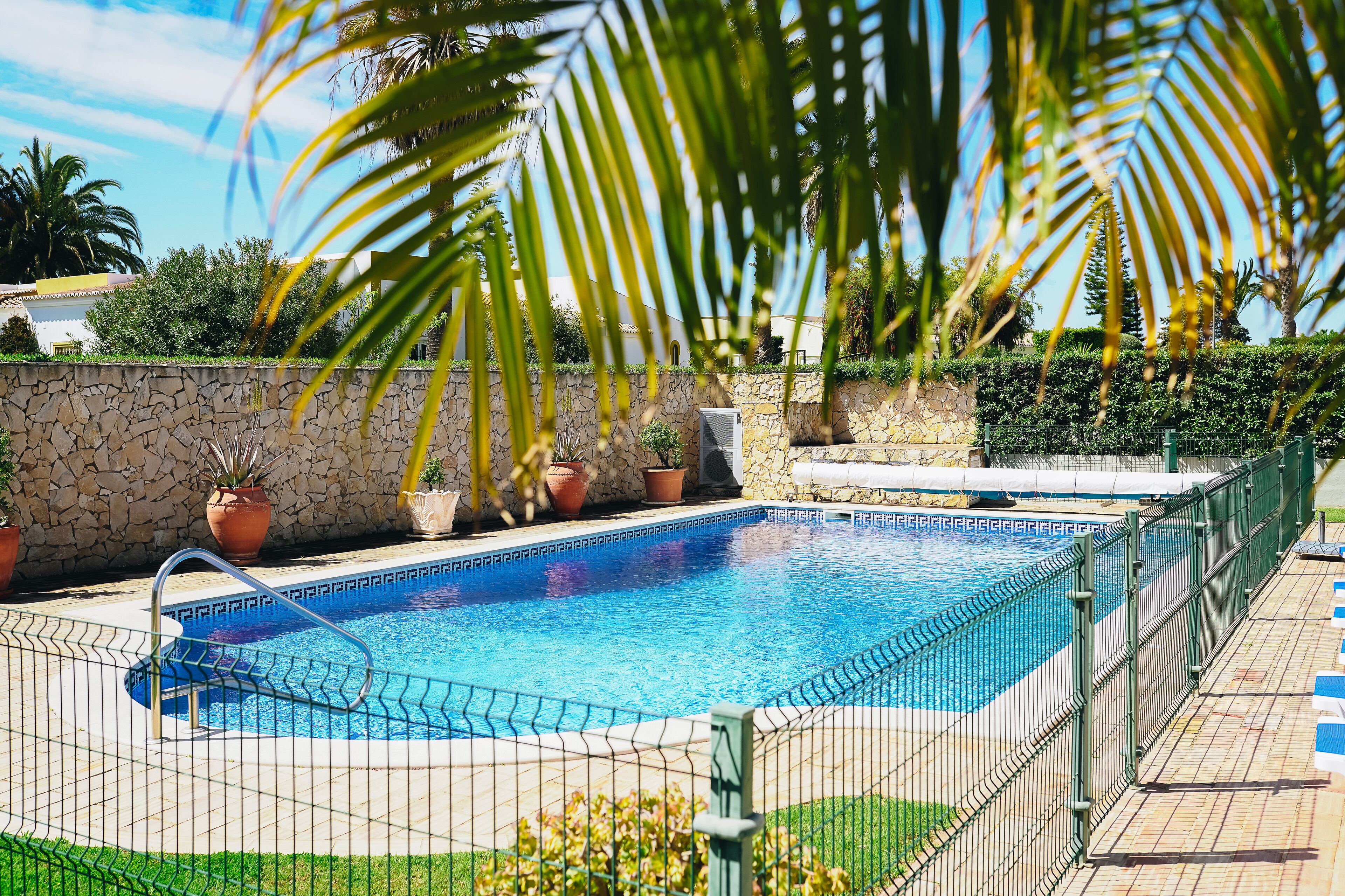 Una piscina rectangular con un muro de piedra y plantas en macetas alrededor.