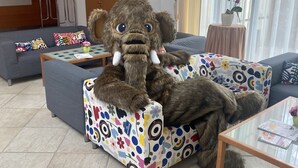 Une grande peluche en forme d’éléphant est assise sur un canapé coloré, dans une pièce bien éclairée, dotée d’une grande fenêtre, d’une porte et d’une petite table sur laquelle se trouve un vase.