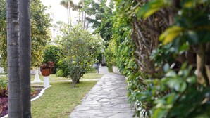 Un chemin de pierres dans un jardin où l’on trouve différentes plantes et différents arbres.
