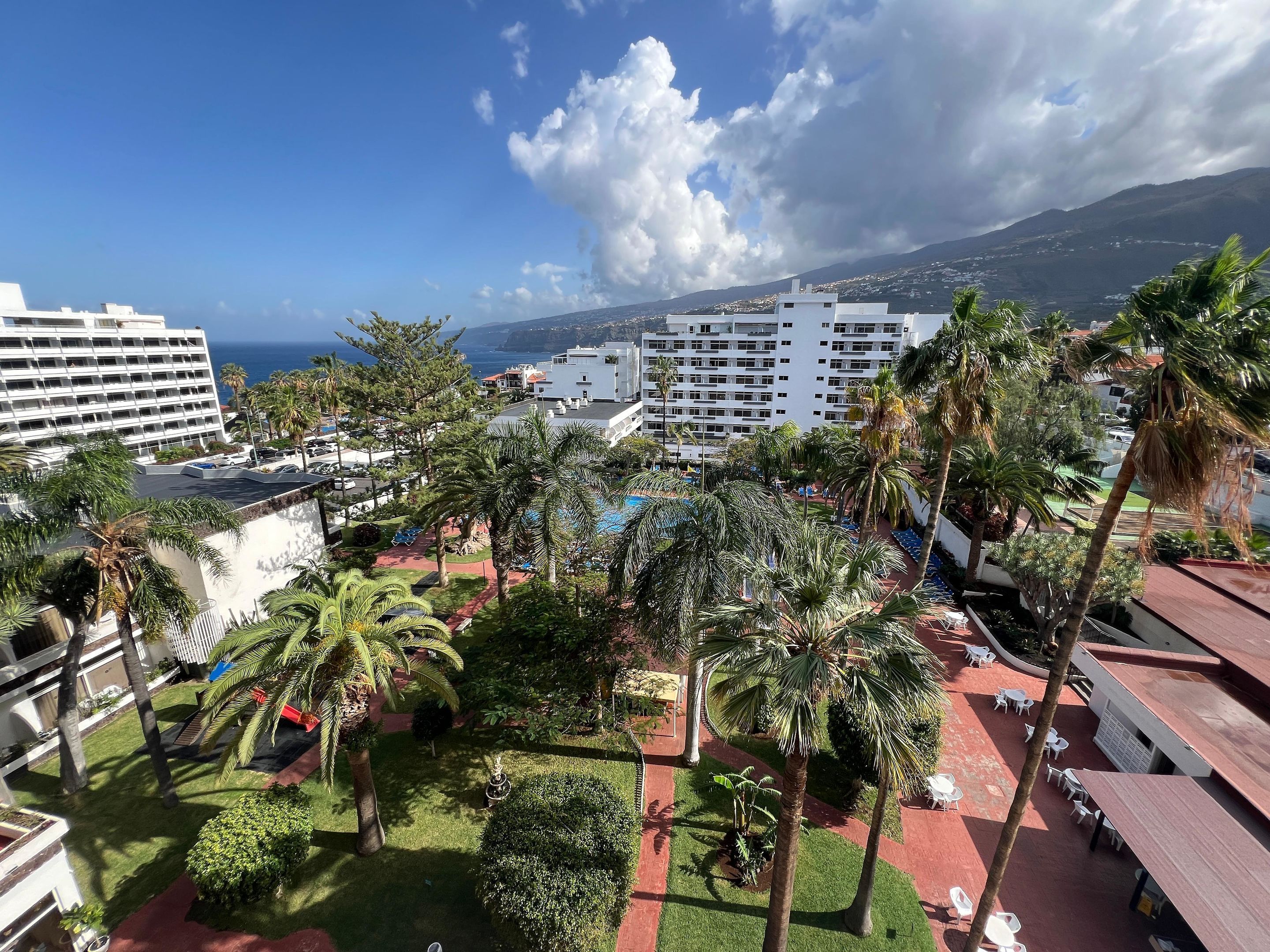 Un patio de hotel con palmeras, una piscina y vistas al océano y edificios.
