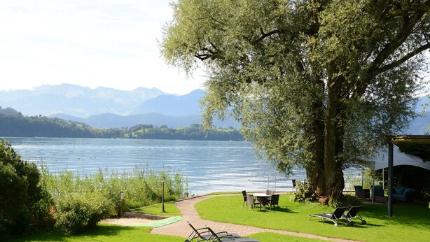 A lakeside patio with a table and chairs, a large tree, and a view of mountains in the background. - Swiss-Chalet Merlischachen - Romantik Schloss-Hotel am See (Kuessnacht)