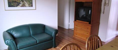 A living room with a green leather sofa, wooden dining table, and chairs. A television is on a wooden cabinet, and a framed picture hangs on the wall.