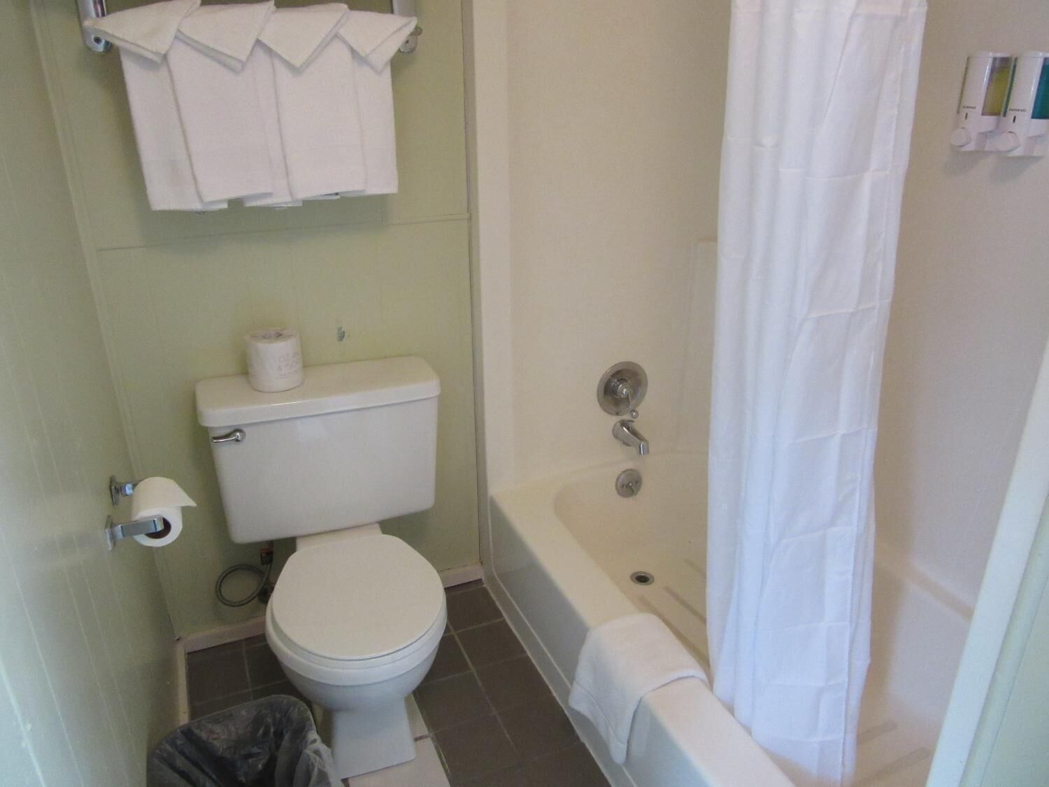 A small bathroom with a toilet, a bathtub, and a shower curtain.