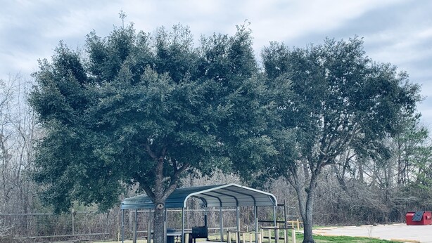 A covered picnic area with benches and a trash can, surrounded by trees. - Luxury Inn & Suites Liberty (Liberty)