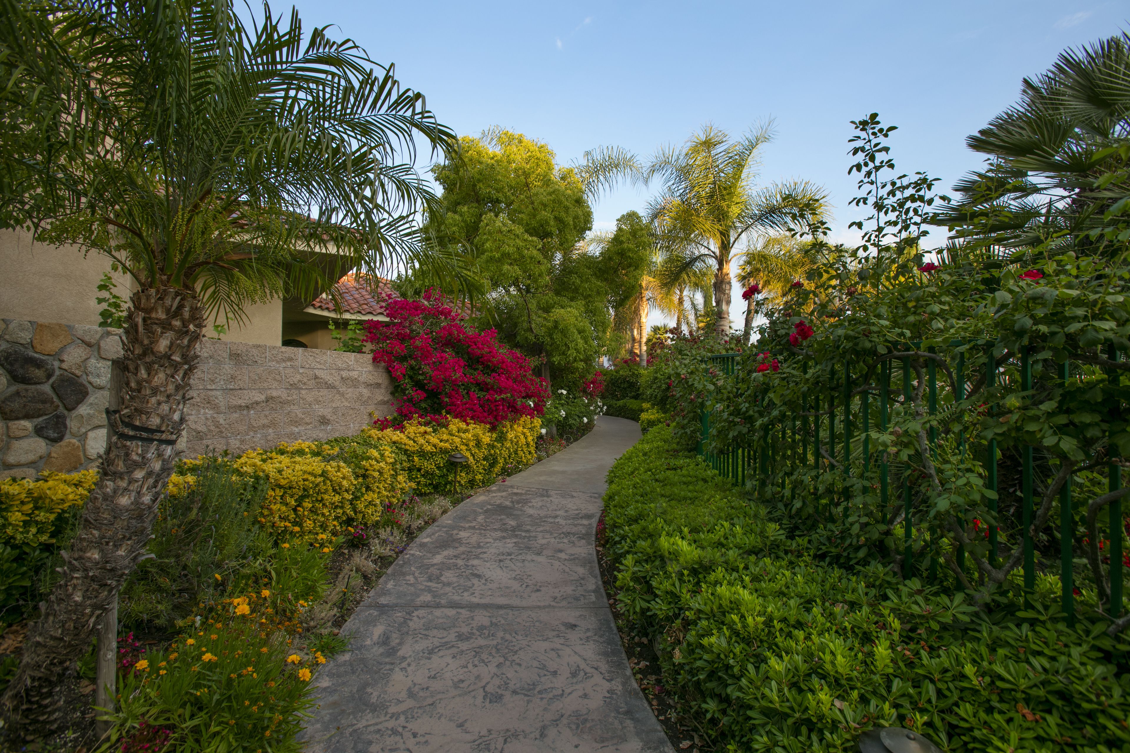 couples treatment room(s), sauna, hot tub, steam room, body treatments