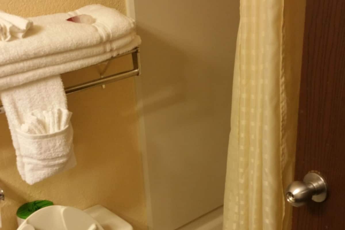 Ein Badezimmer mit Toilette, Duschvorhang und Badewanne.