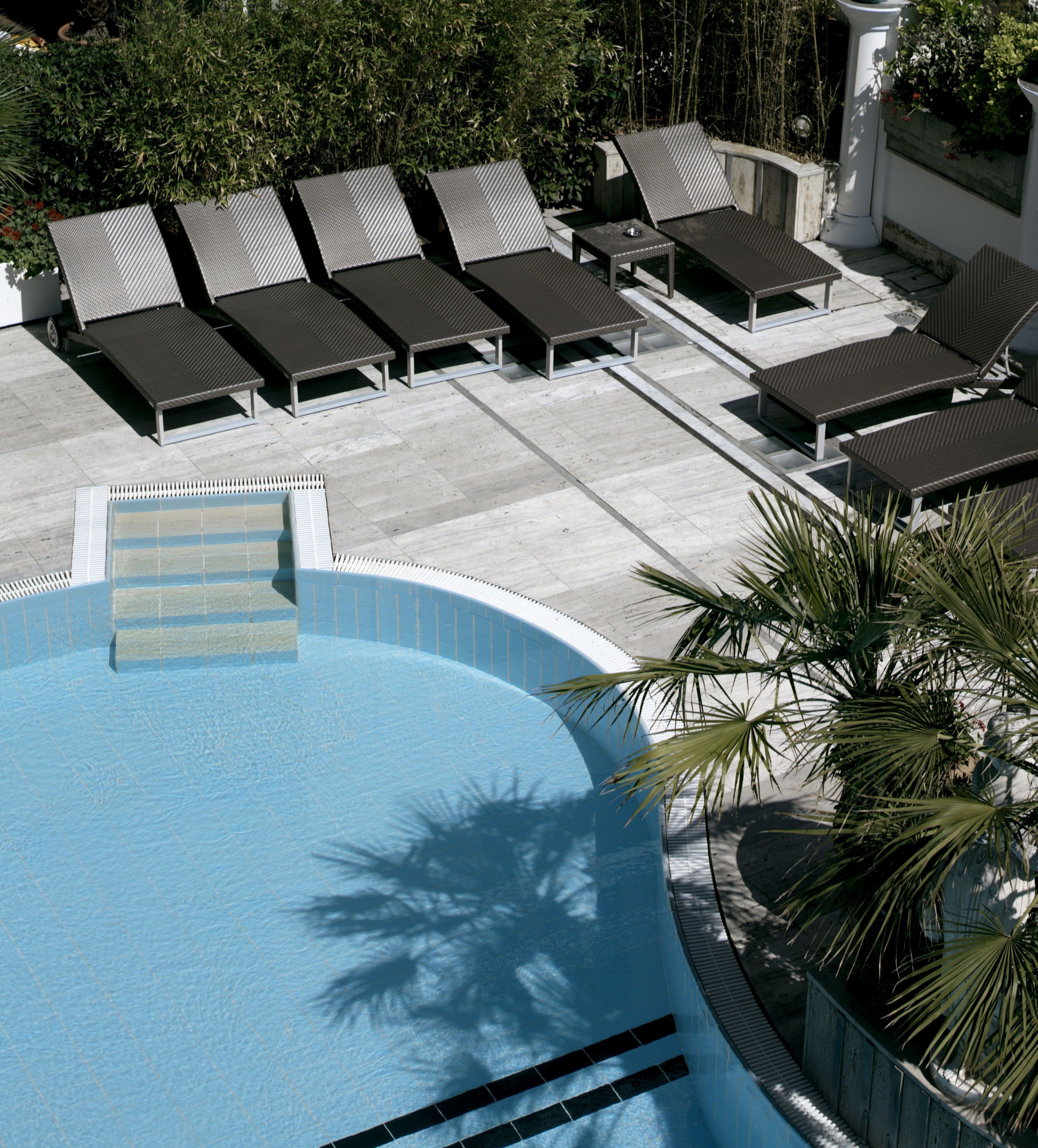 Una piscina con lettini da relax e una palma.