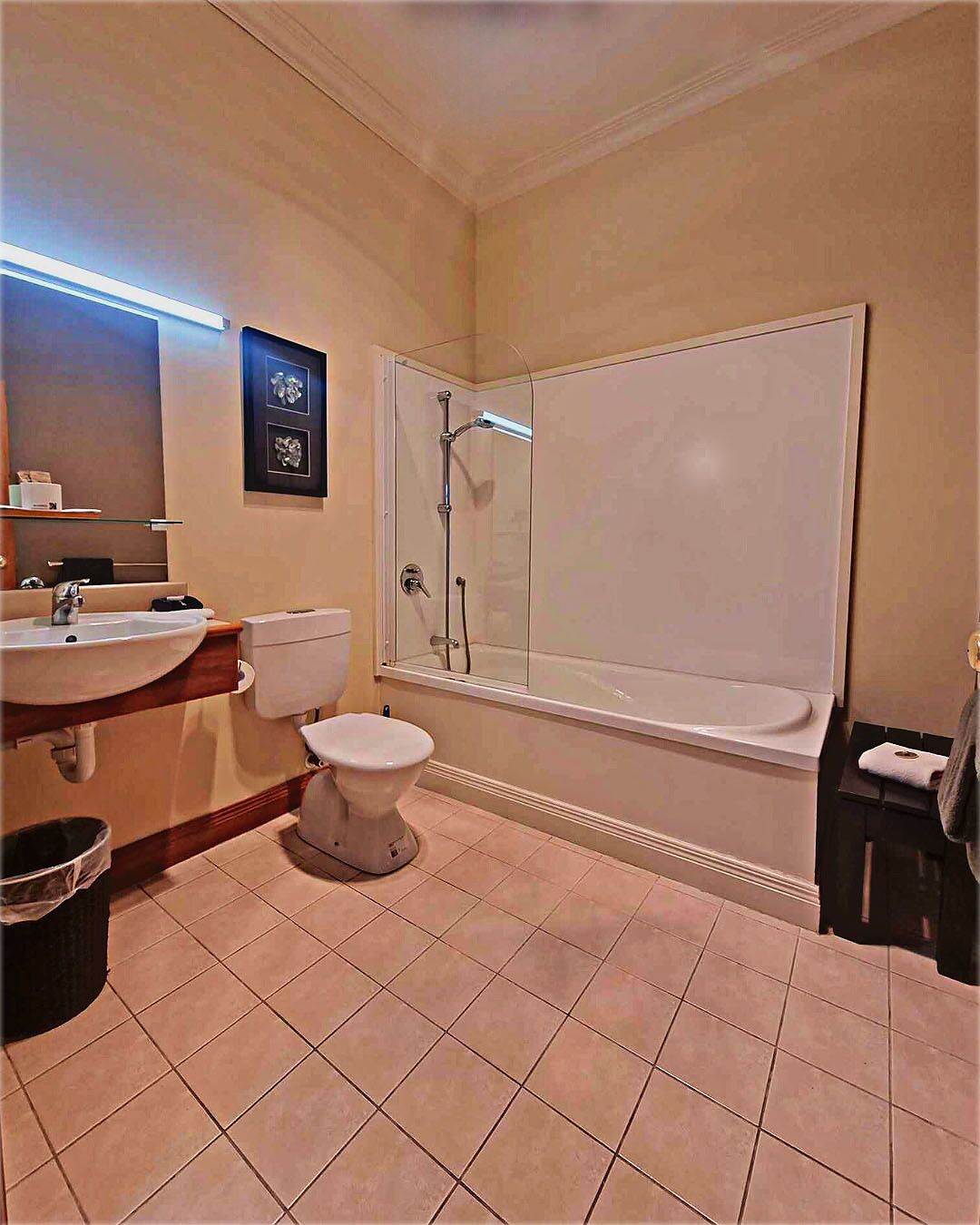 combined shower/bathtub, free toiletries, hair dryer, bathrobes