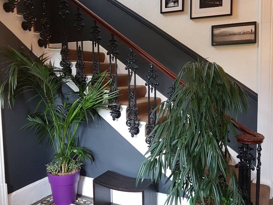 A staircase with ornate black railings, a bench, and several potted plants.