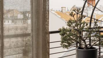 頂樓客房 | 露台/庭院