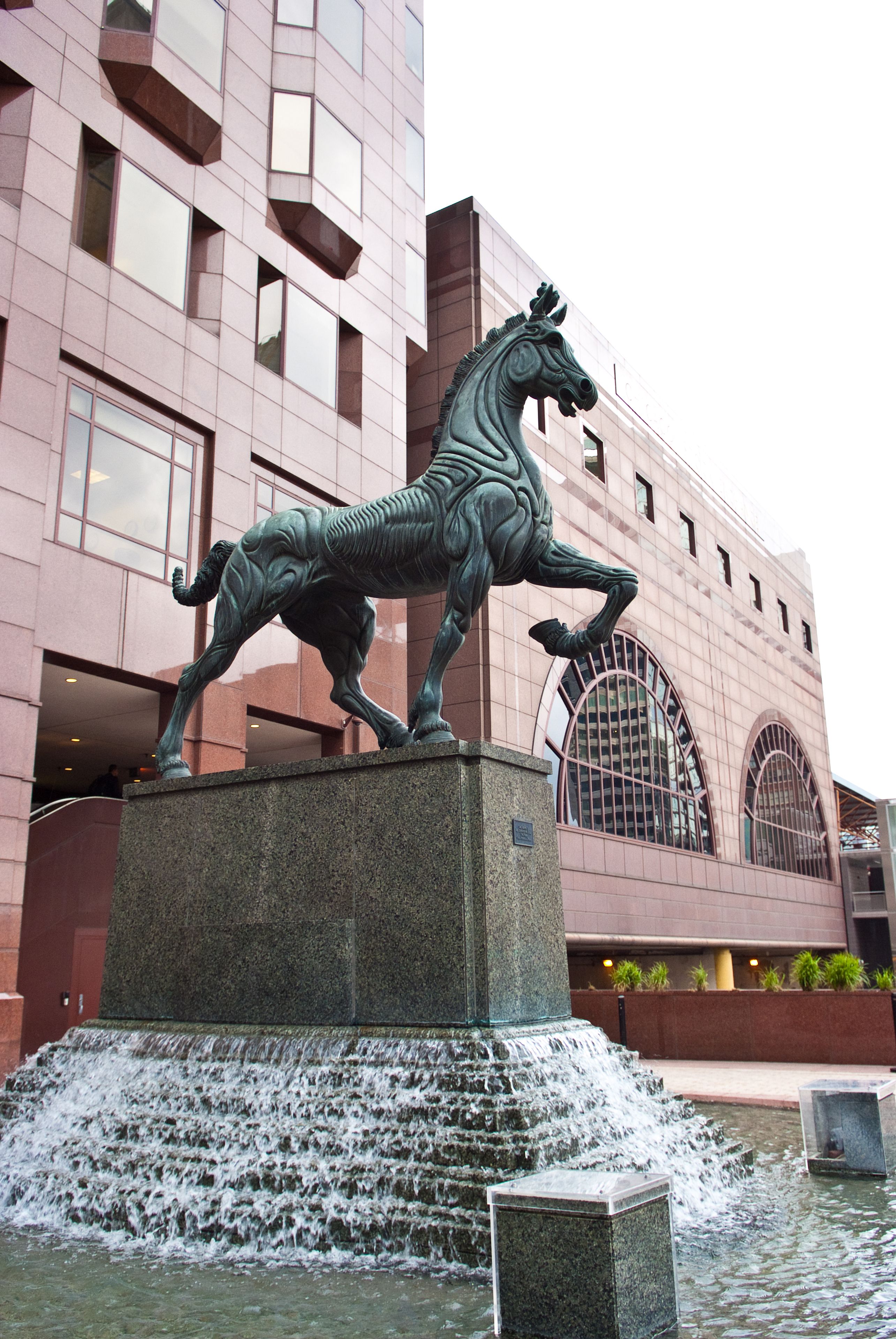 Foto - The Buckingham Hotel