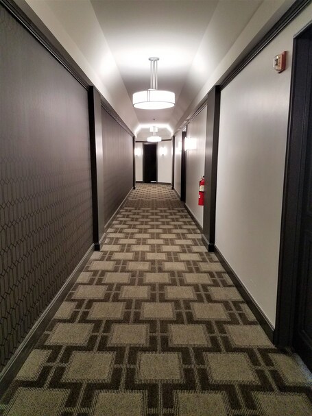 The Buckingham Hotel - Image 49
