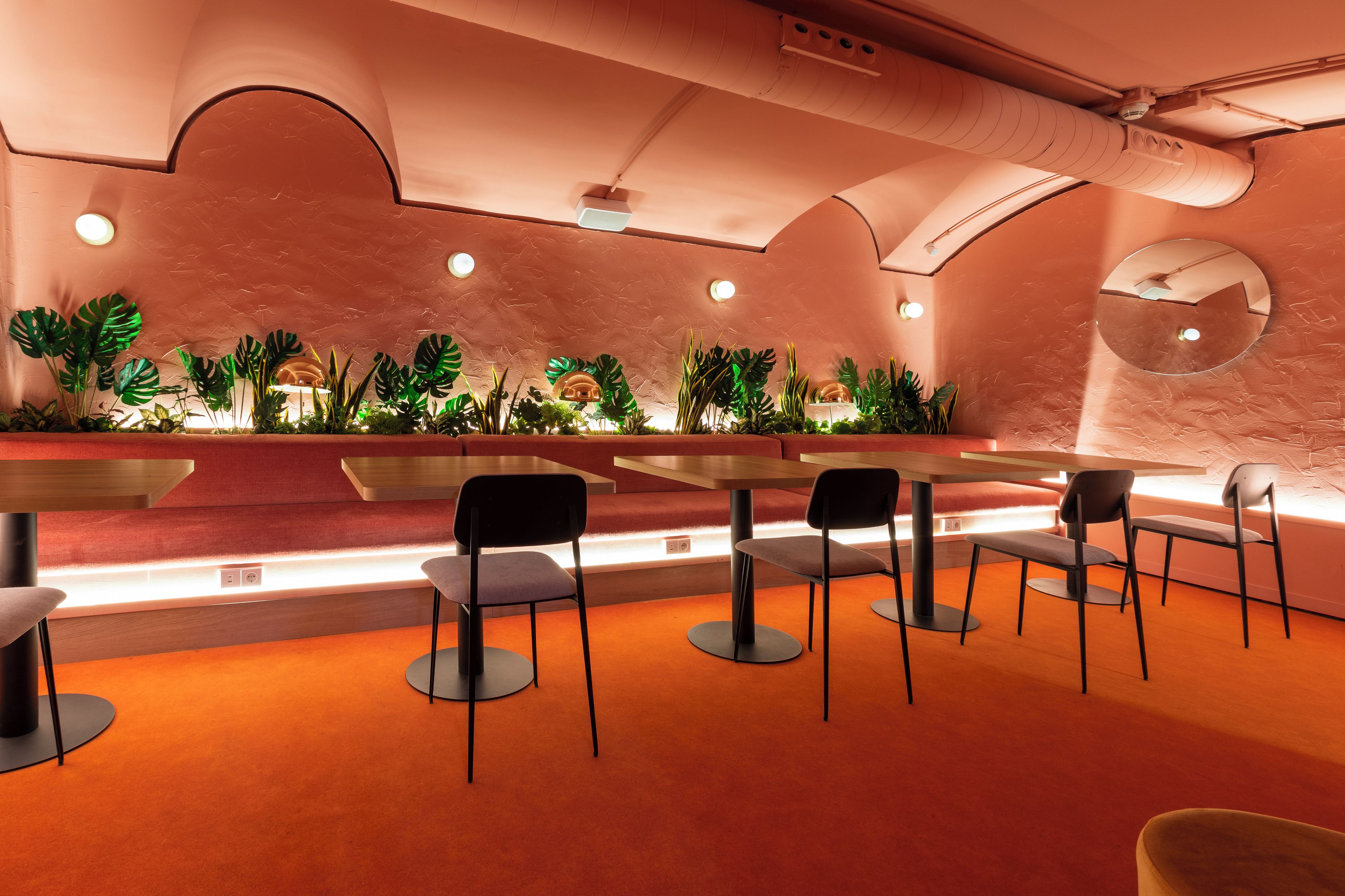A modern interior with a long counter, multiple chairs, and a variety of plants.