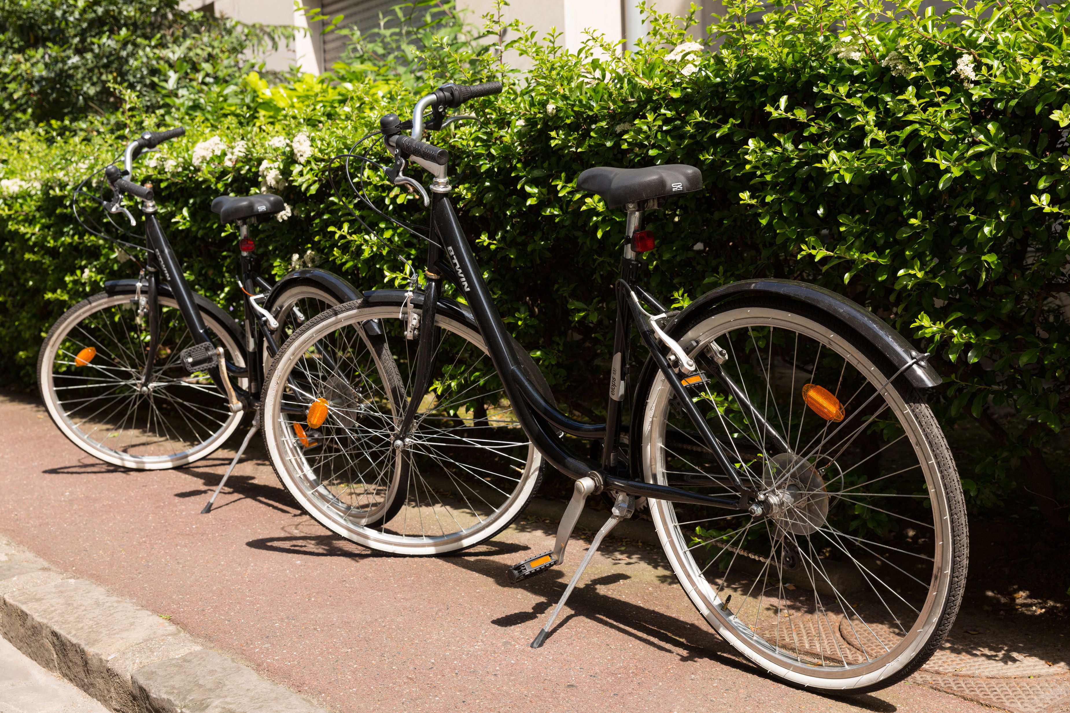Two bicycles parked on a paved surface with a hedge in the background.