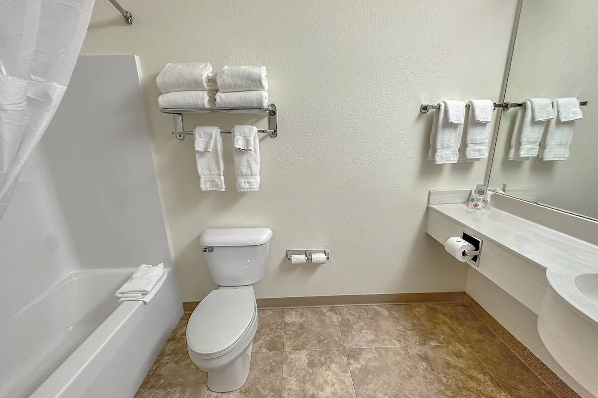 deluxe suite | bathroom | combined shower/bathtub, designer toiletries, hair dryer, towels