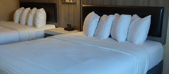 Lavissh Inn & Suites