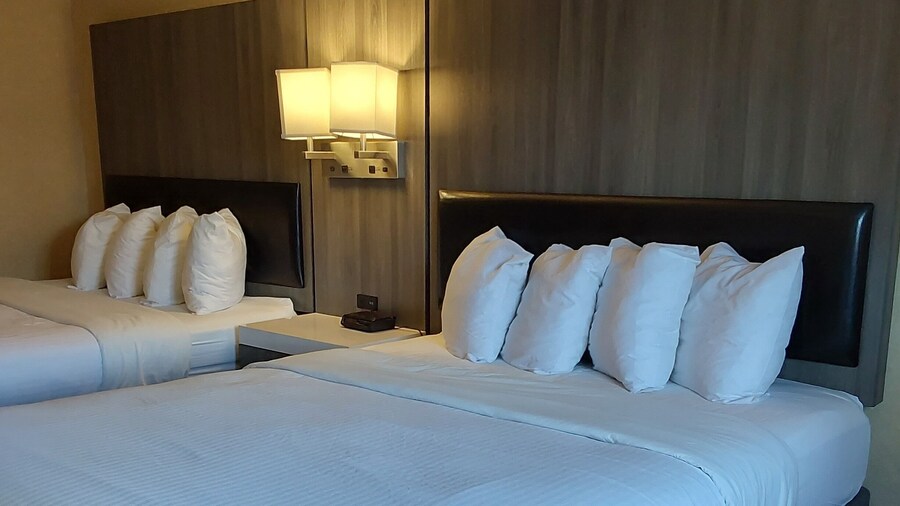 Lavissh Inn & Suites