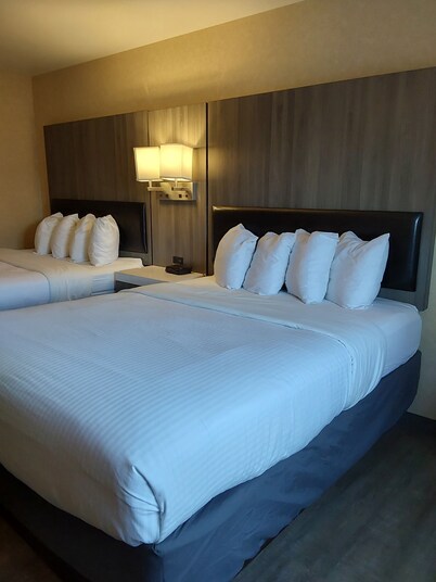 Lavissh Inn & Suites