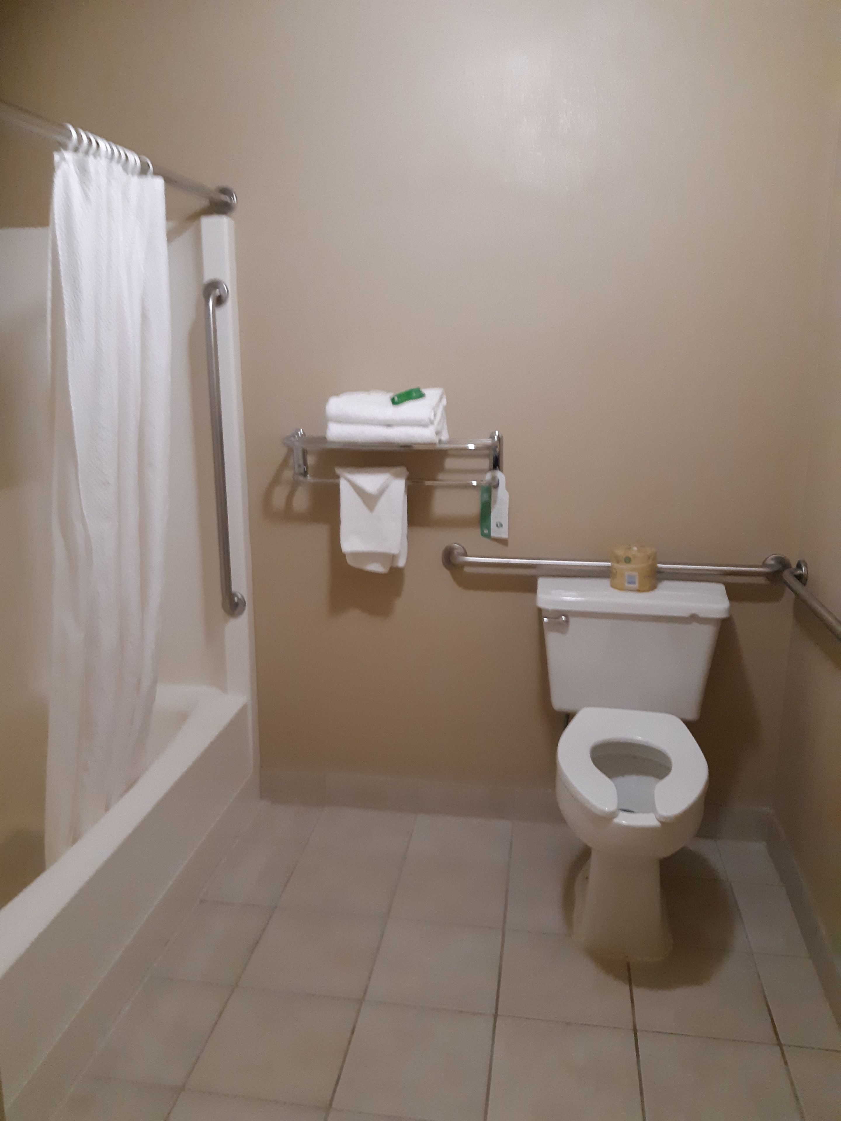 suite, 1 king bed, non smoking, kitchen | private kitchen | fridge