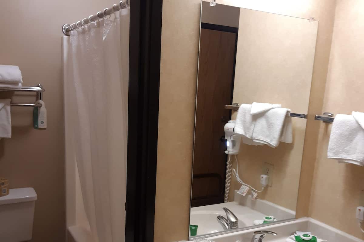 A bathroom with a white sink, mirror, and shower curtain. There are towels on the wall and a toilet visible.