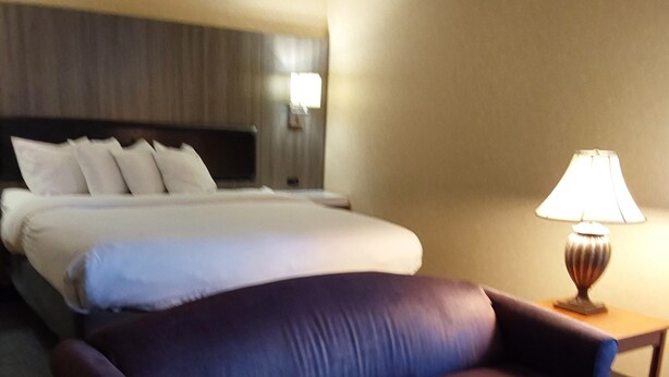 Une chambre d’hôtel avec un lit, un canapé, une table et une lampe.