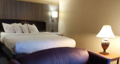 Lavissh Inn & Suites
