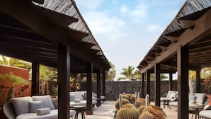 A covered outdoor seating area with sofas and tables, surrounded by cacti and palm trees.