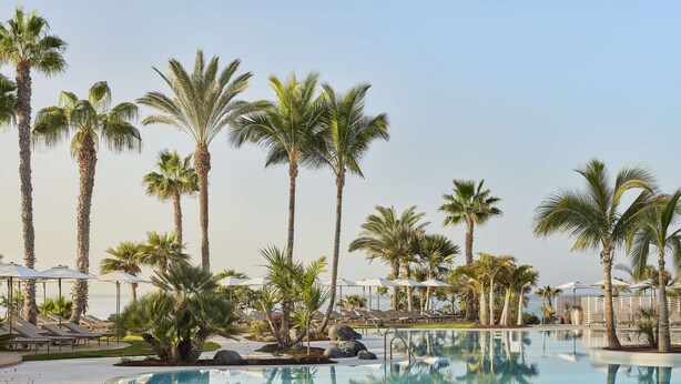 A pool area with palm trees, lounge chairs, and umbrellas.