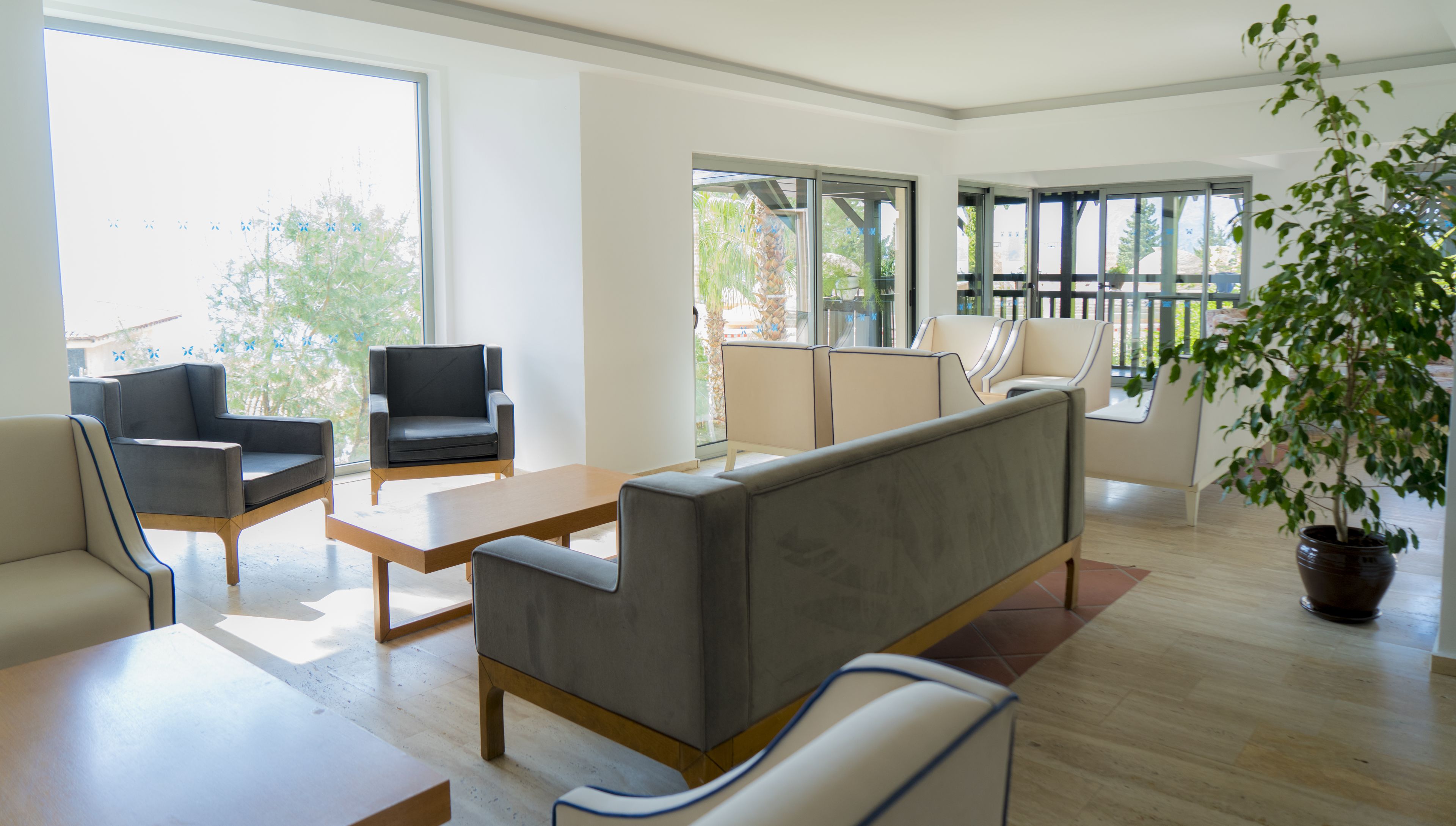 A modern living room with a sofa, armchairs, and a coffee table.