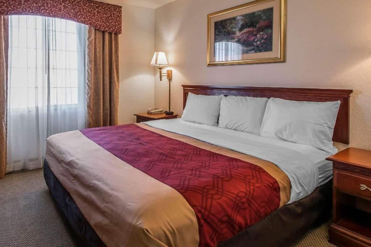 A hotel room with a bed, a nightstand, a lamp, a painting on the wall, and a window with curtains.