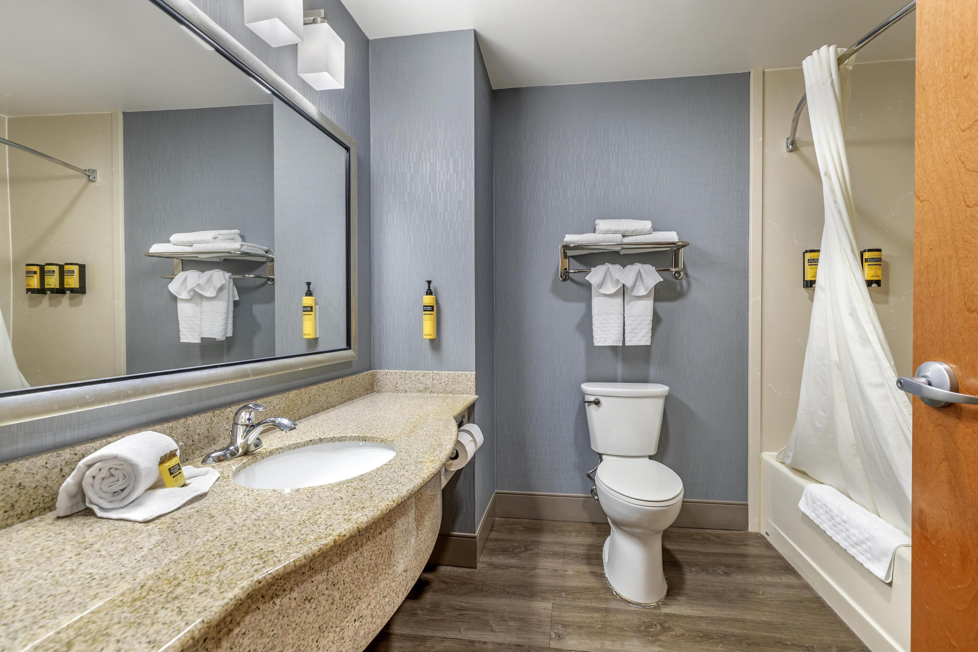 combined shower/bathtub, free toiletries, hair dryer, towels