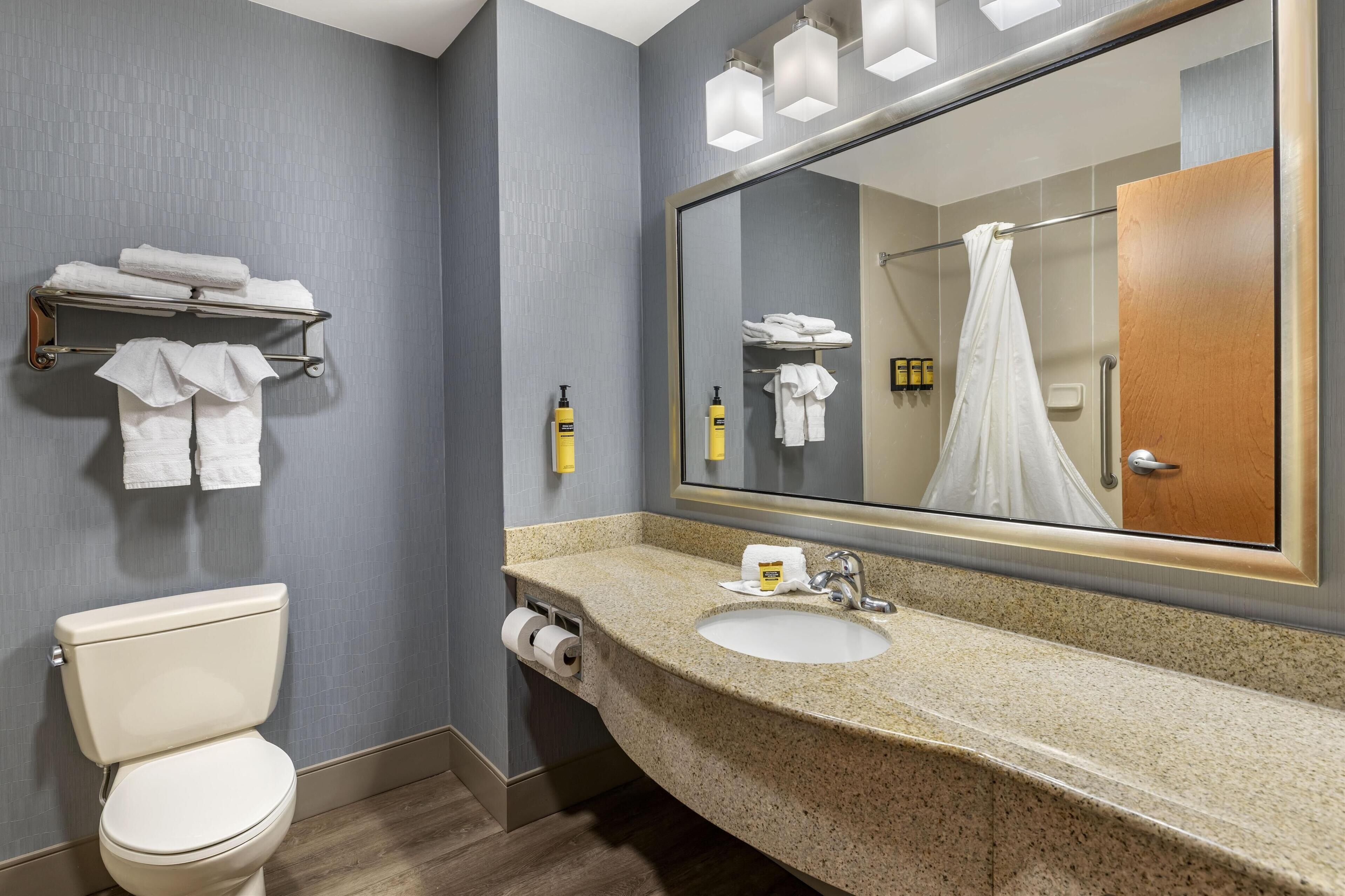 combined shower/bathtub, free toiletries, hair dryer, towels