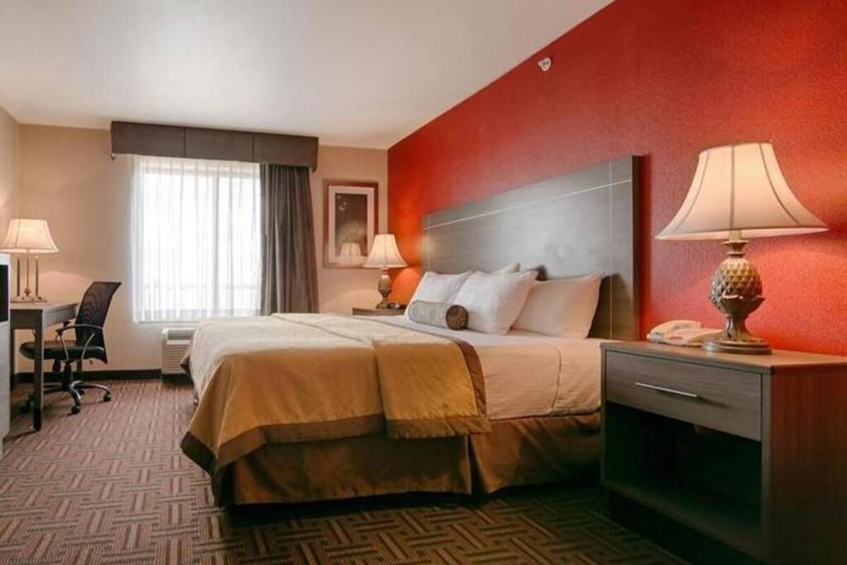 Draps en coton égyptien, literie de qualité supérieure