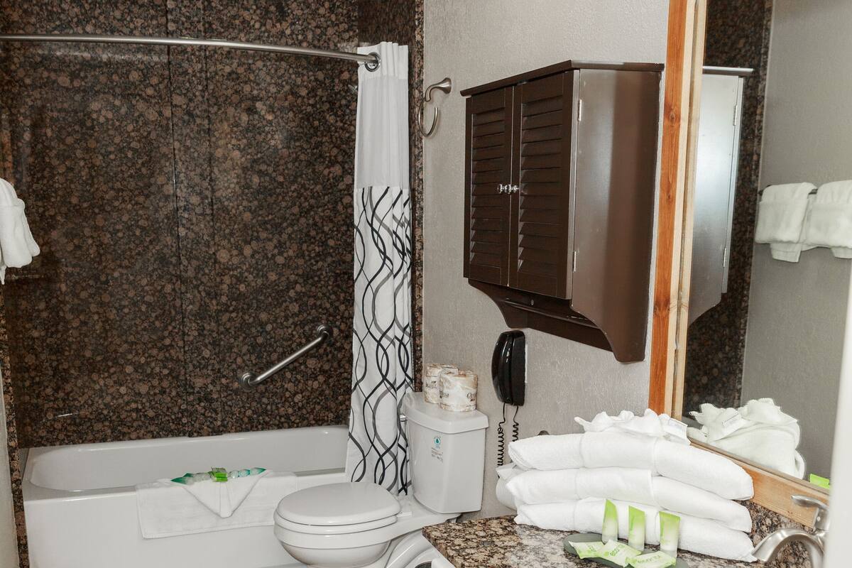 combined shower/bathtub, free toiletries, hair dryer, towels