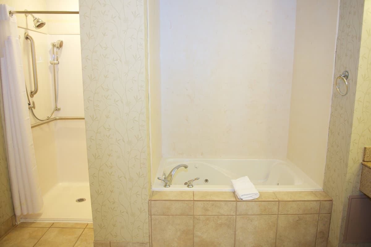 suite, 1 bedroom, kitchen (living area) | bathroom | combined shower/bathtub, free toiletries, hair dryer, towels