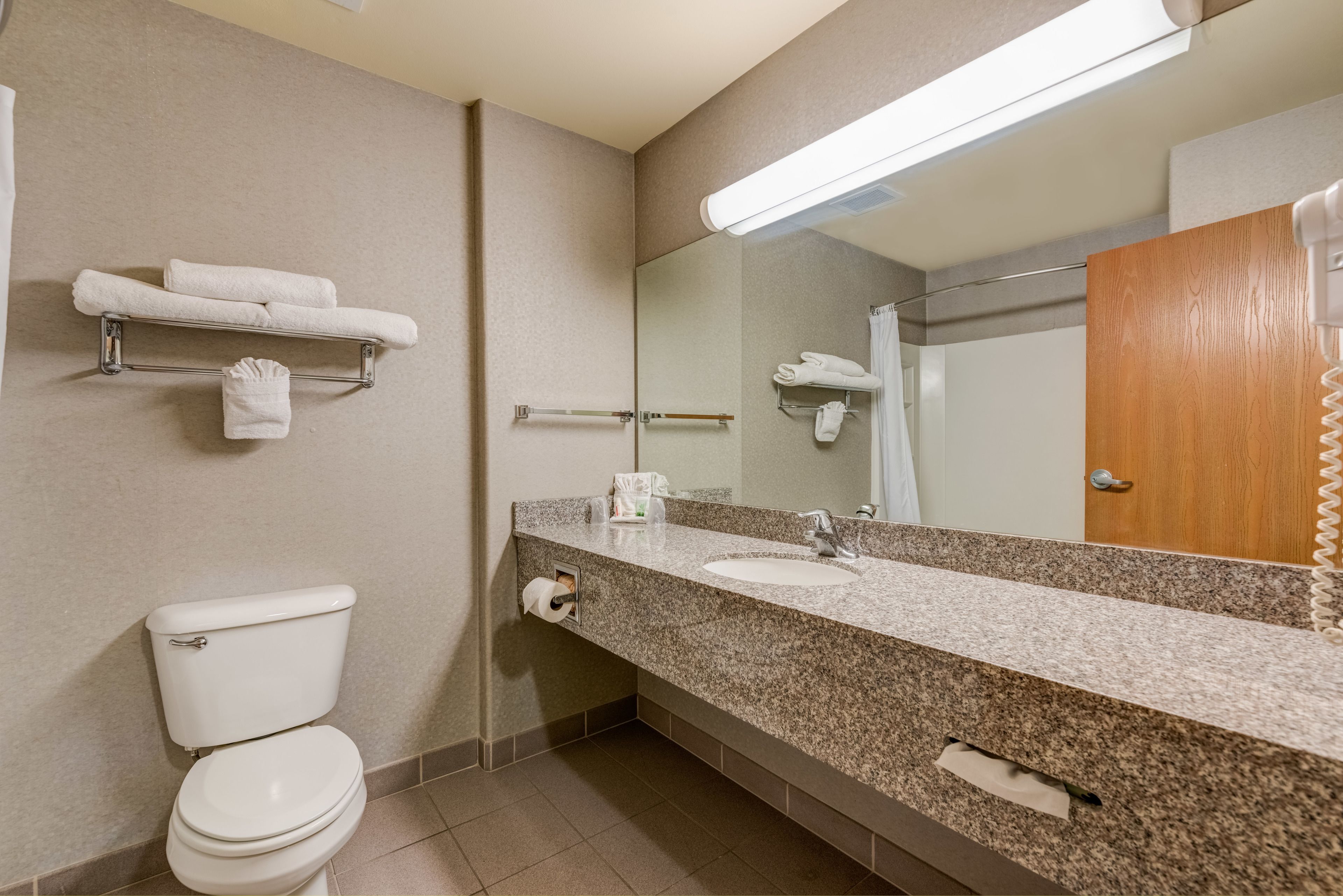 suite, 1 king bed with sofa bed, non smoking | bathroom | shower, hair dryer, towels