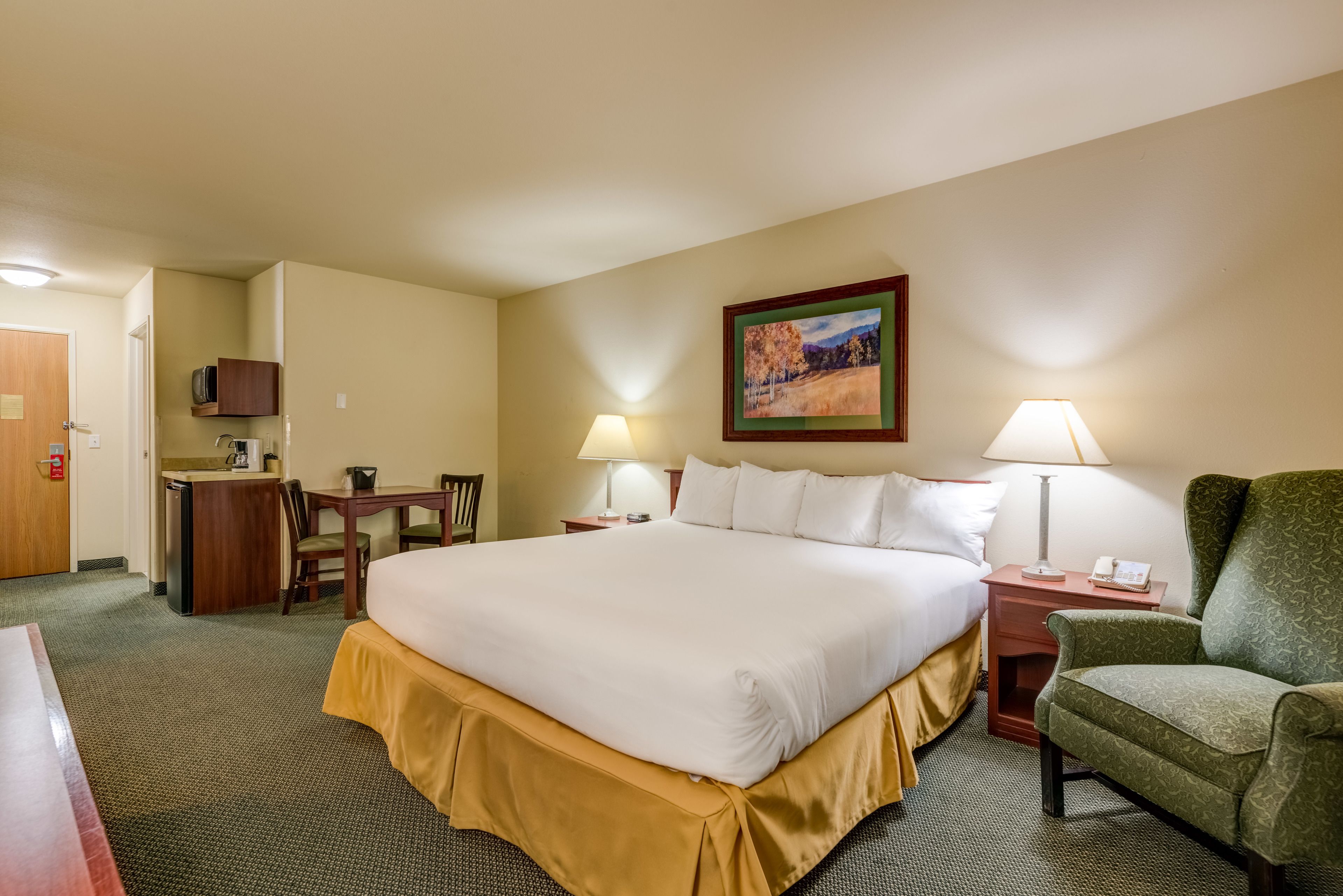 Habitación de hotel con una cama grande, dos lámparas de noche, un escritorio con silla, un televisor y un cuadro en la pared.