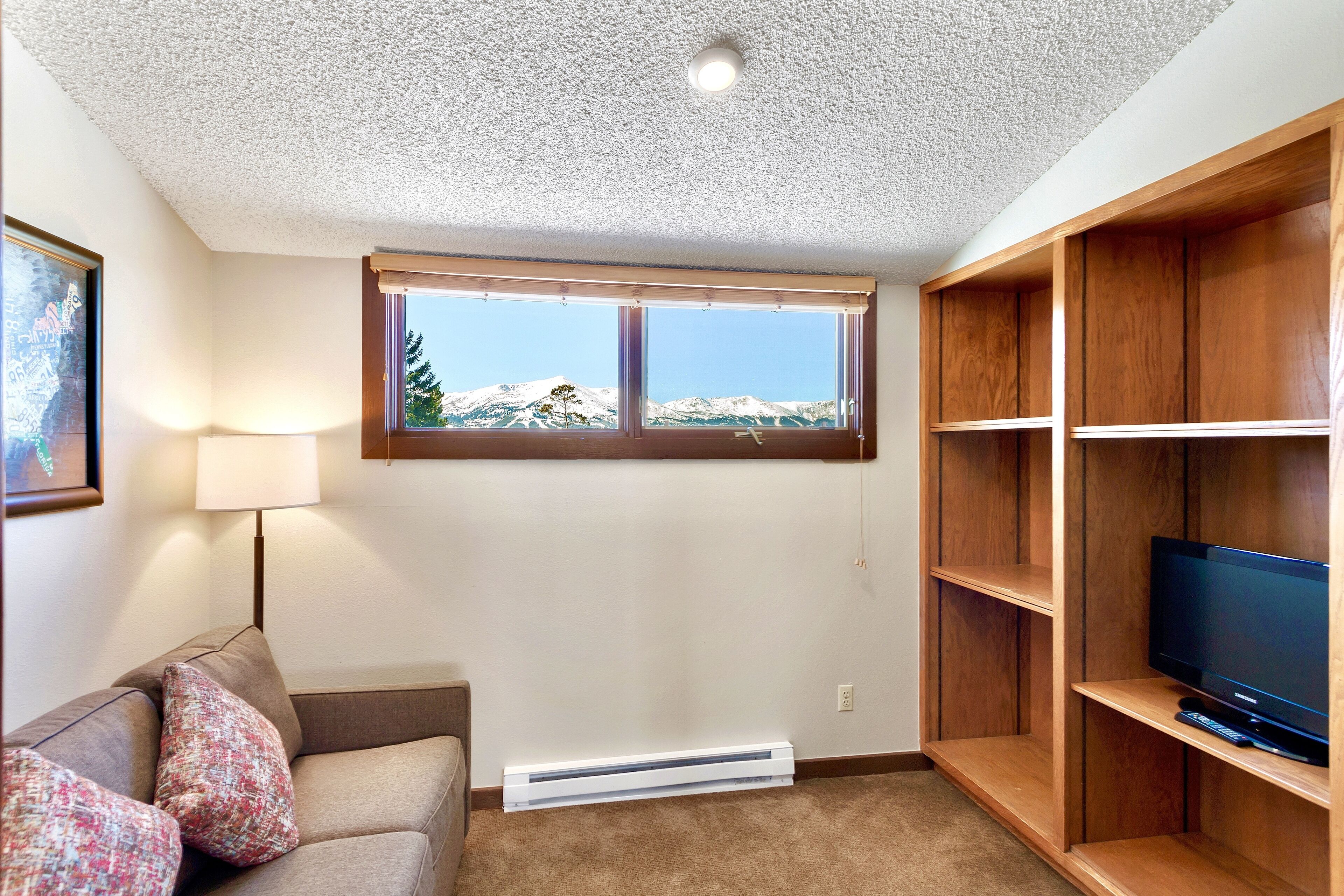 A living room with a large window, a flat-screen TV, and a built-in bookshelf.