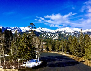 A road curving through a forest with snow-covered mountains in the background.