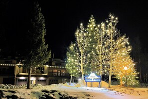 A hotel with a sign reading "Gold Point" surrounded by snow-covered ground and illuminated trees.
